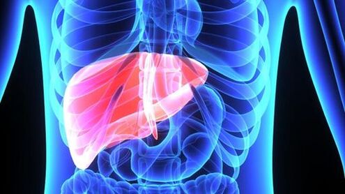 Effects of alcohol on the liver